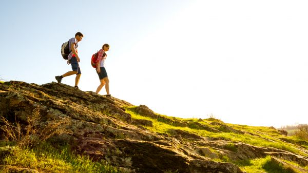 Murfreesboro Travel